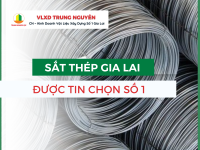 Sắt Thép Gia Lai | Được Tin Chọn Số 1 - Trung Nguyên 